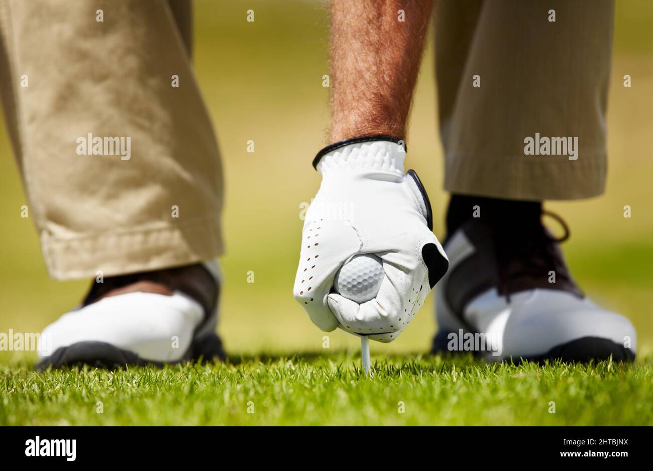 Einrichten. Zugeschnittenes Bild eines Golfspielers, der seinen Golfball auf das T-Shirt legt. Stockfoto