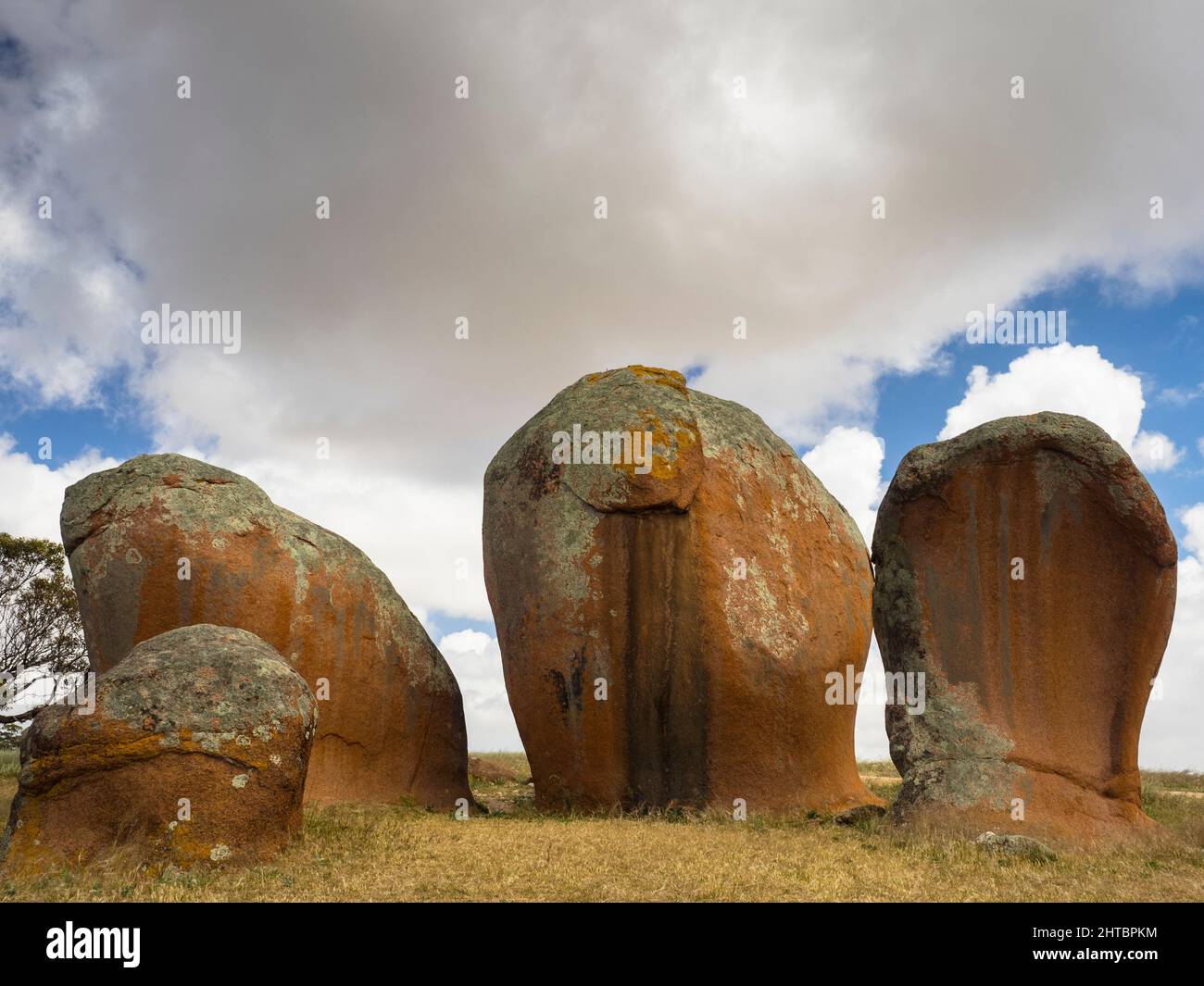 Murphys Haystacks, Eyre Peninsula. Stockfoto