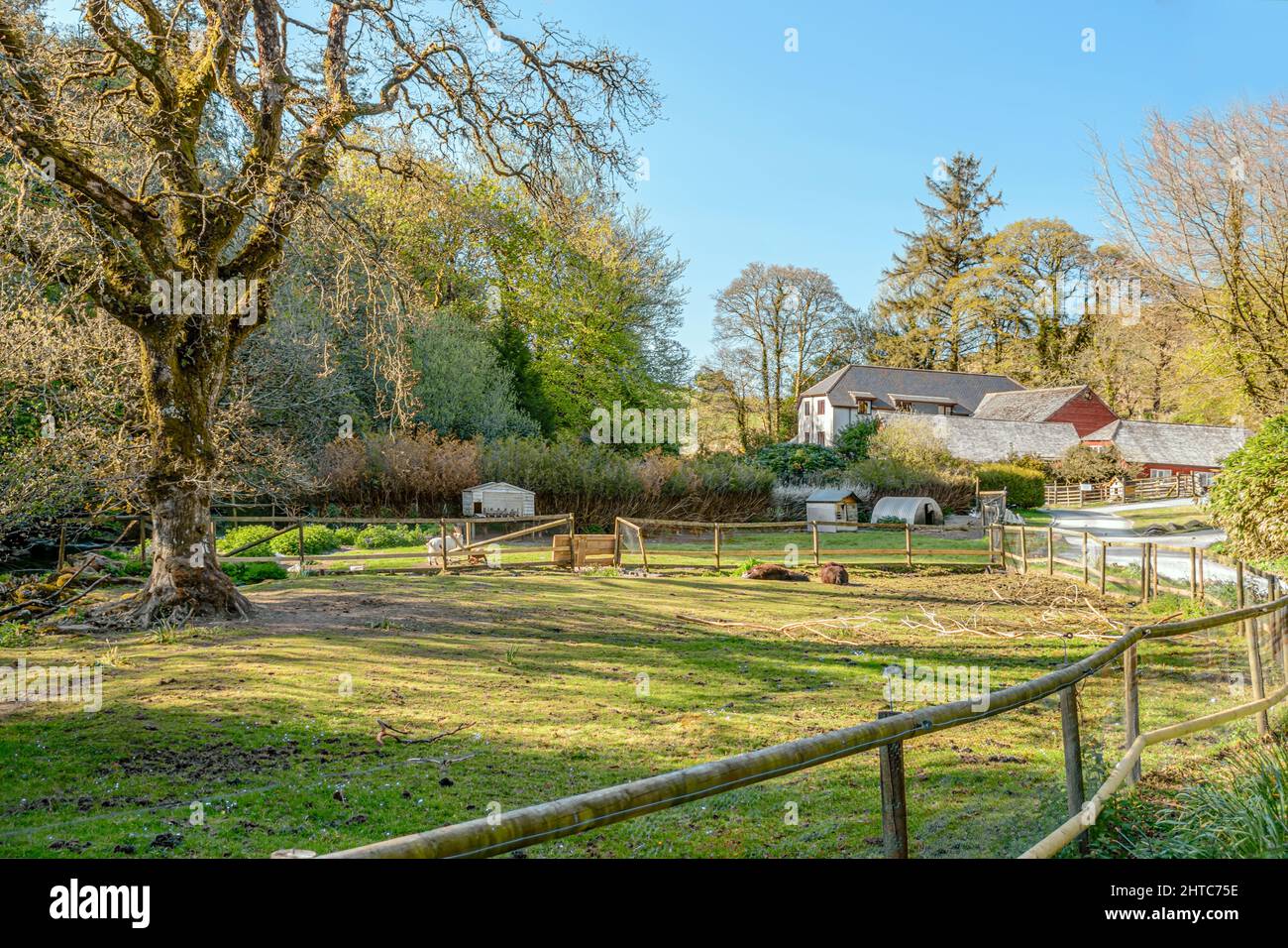 Dachse Holt Farm Estate, Dartmoor National Park, Devon, England, Vereinigtes Königreich Stockfoto
