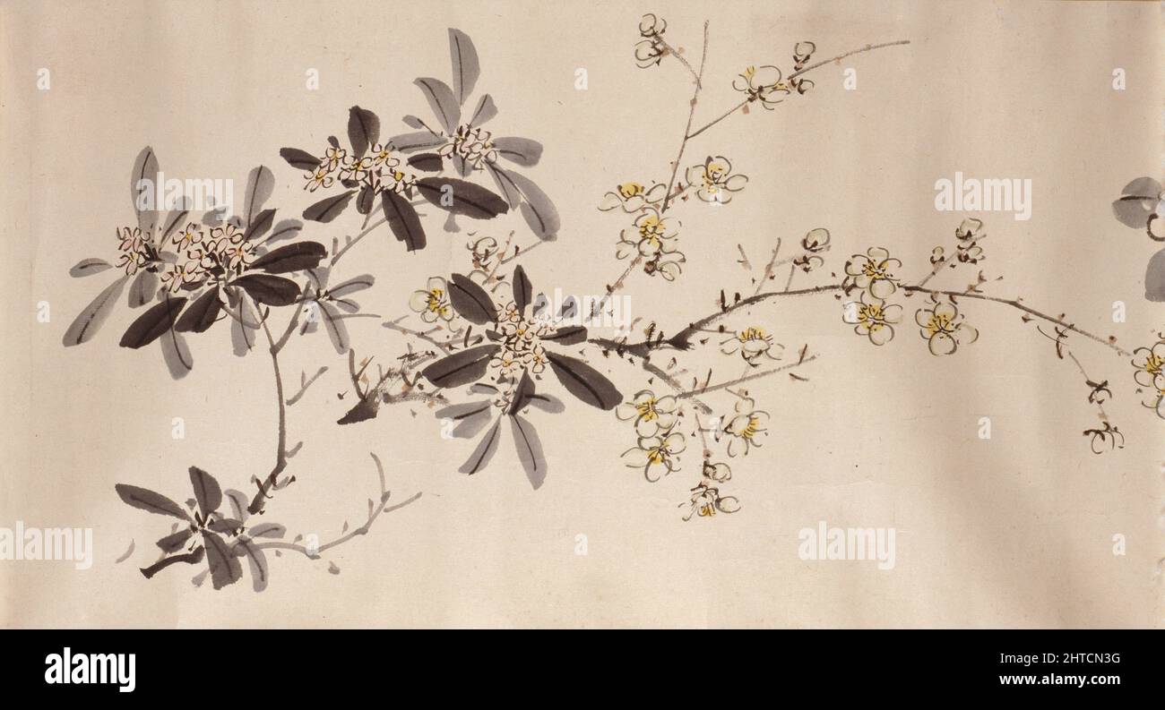Blühende Pflanzen der vier Jahreszeiten, 1842. Abmessungen: 30,3 x 423,3 cm  (Höhe x Breite Stockfotografie - Alamy