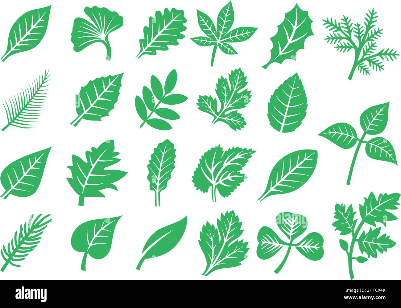 Blattsymbole setzen Vektorgrafik Stock Vektor