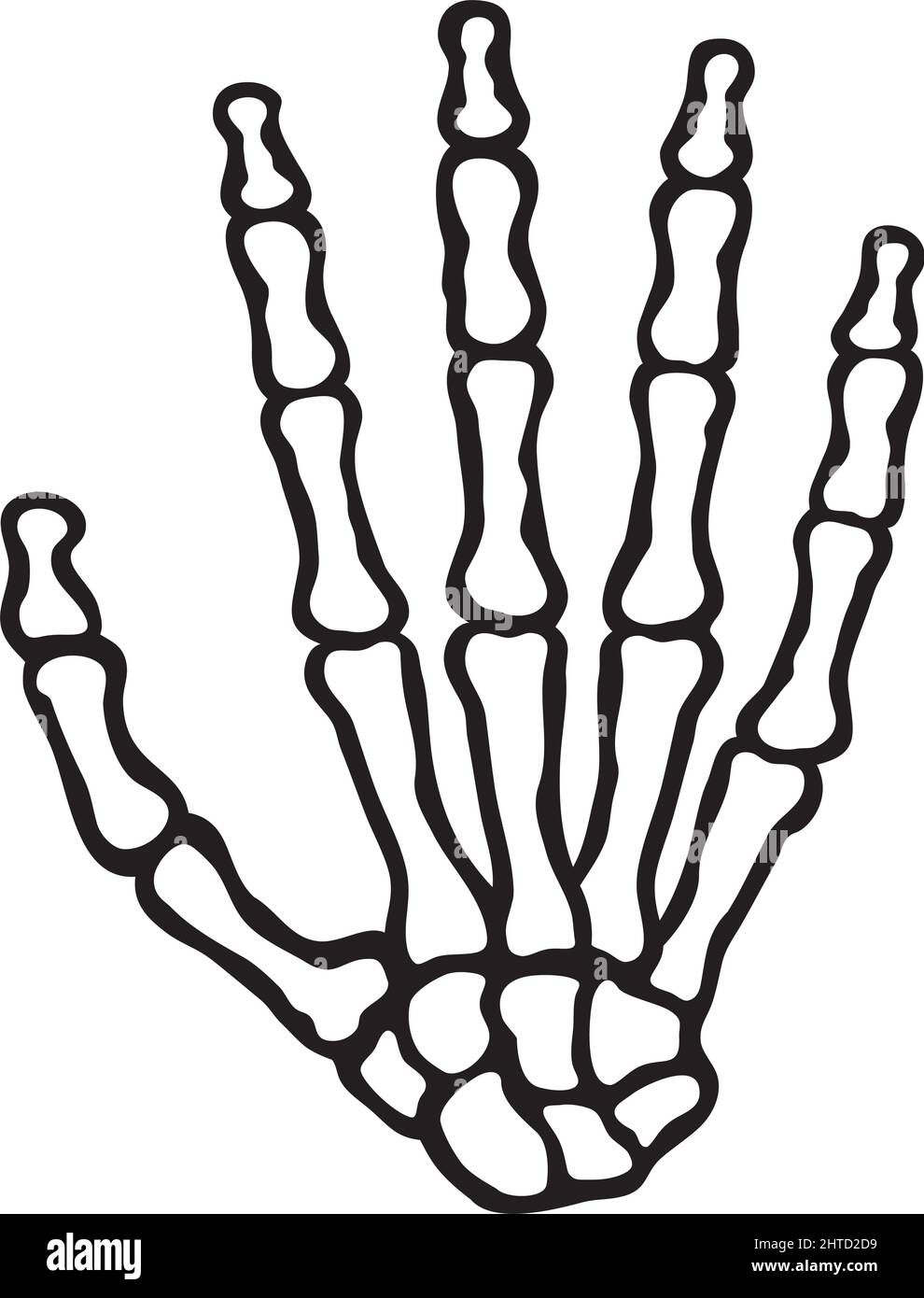 Vektor-Illustration für menschliche Skeletthand (Knochen) Stock Vektor