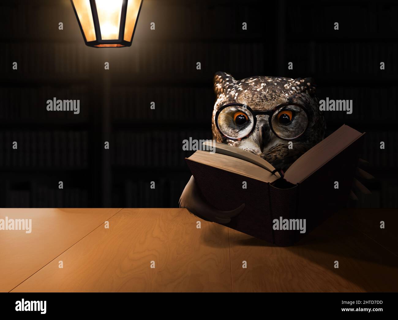 Eule liest ein Buch in einem dunklen Raum mit Lampenlicht. Konzeptionelles Thema Bildung. Stockfoto