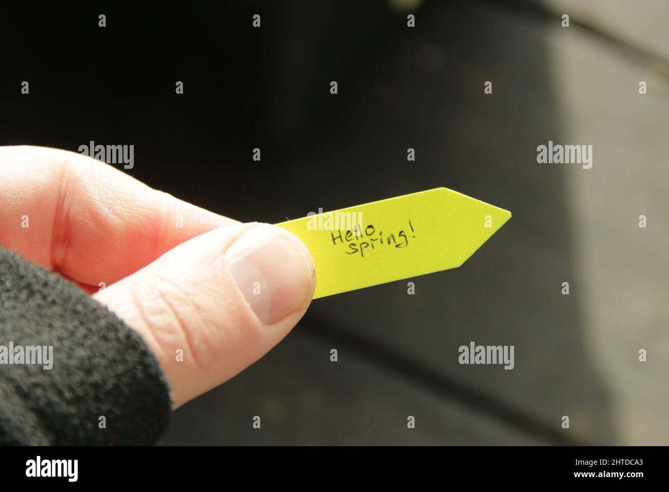 Hallo Frühling. Die Hand hält einen Anhänger mit einer handschriftlichen Inschrift. Stockfoto