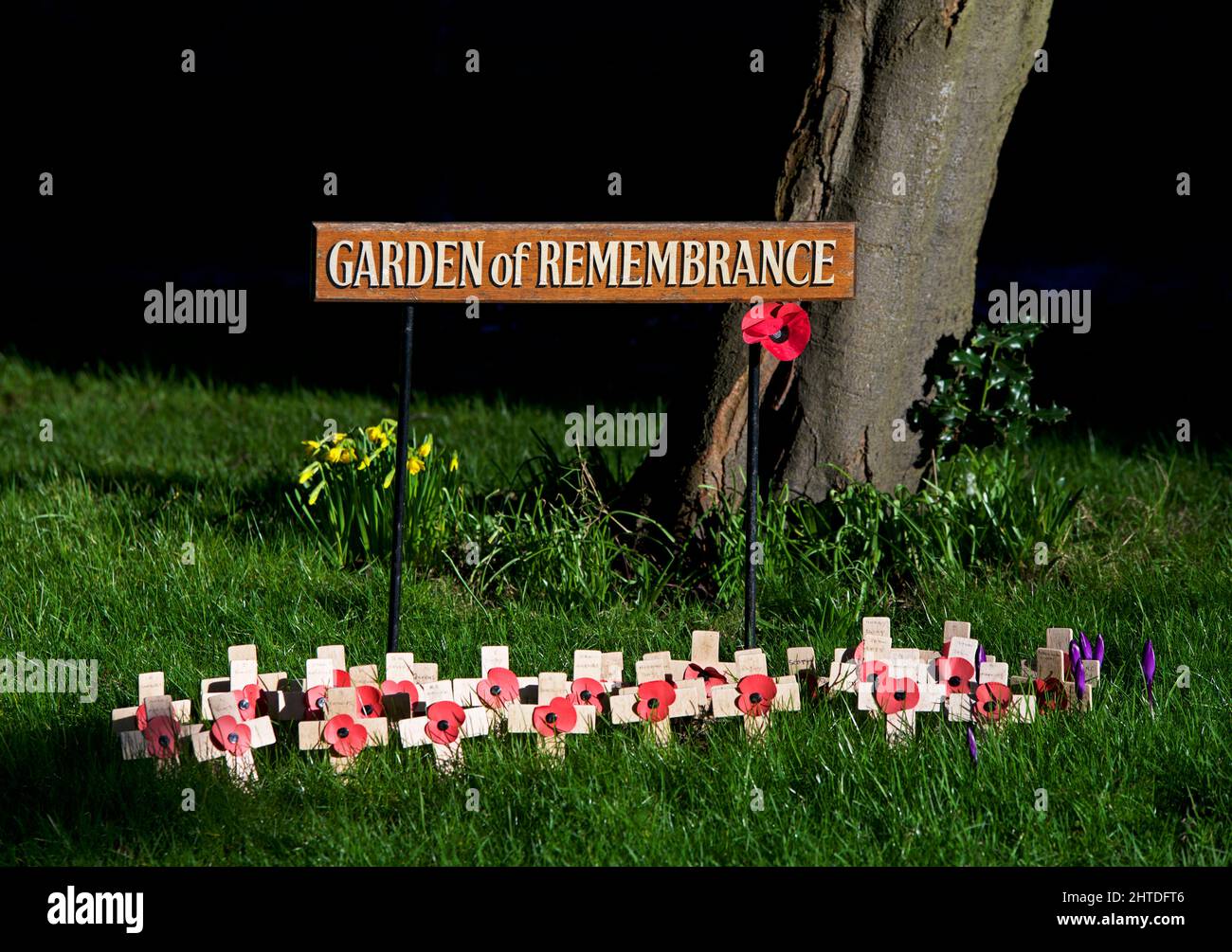 Mohnblumen und Kreuze im Garten der Erinnerung, All Saints Church in Market Weighton, East Yorkshire, England Stockfoto