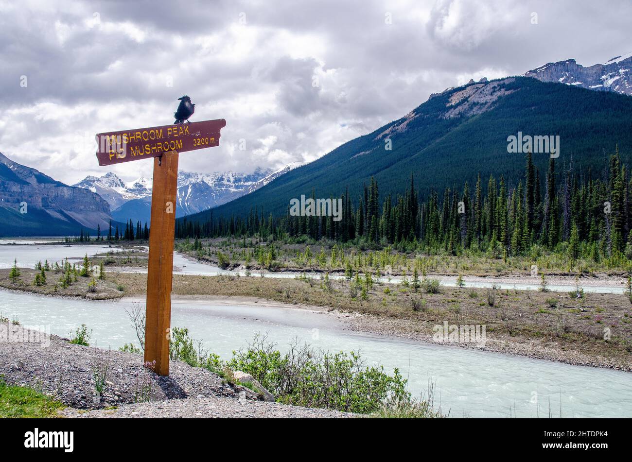 Ein Holzschild von 'Mushroom Peak, Pic Mushroom 3200 m' und ein schöner kleiner Vogel darauf. Stockfoto