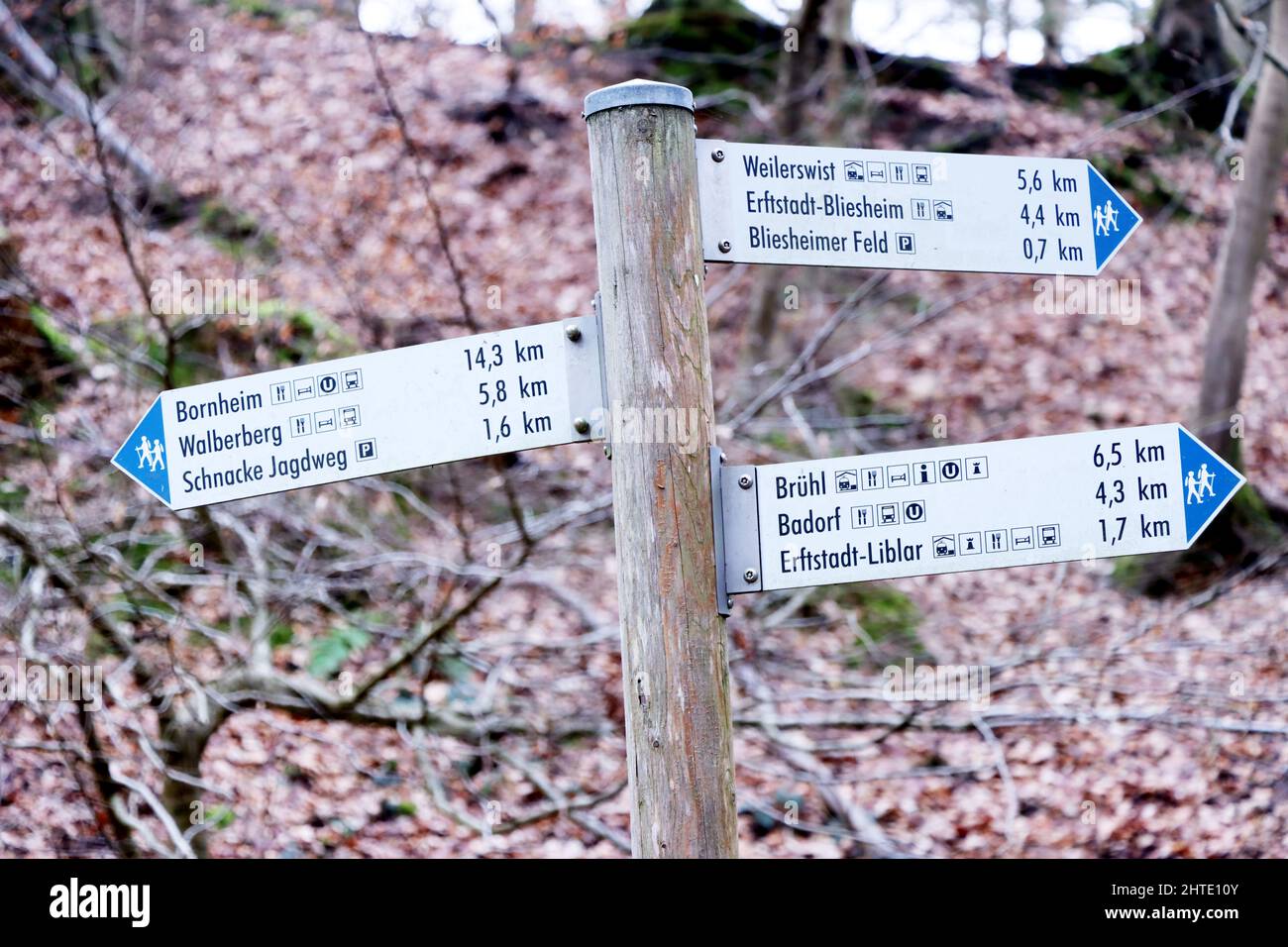 Wanderwegweiser im Naturpark Kottenforst-Ville, Nordrhein-Westfalen, Deutschland, Brühl Stockfoto