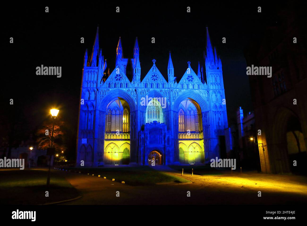 Peterborough, Großbritannien. 25.. Februar 2022. Die Kathedrale von Peterborough ist in den Farben der ukrainischen Flagge, blau und gelb, vor dem Tag des Gebets und des Friedens am Sonntag, beleuchtet. Dies findet statt, weil die Ukraine von Russland überfallen wurde und die beiden Länder nun im Krieg miteinander stehen. Peterborough Cathedral, Peterborough, Cambridgeshire, Großbritannien, am 25. Februar, 2022. Kredit: Paul Marriott/Alamy Live News Stockfoto