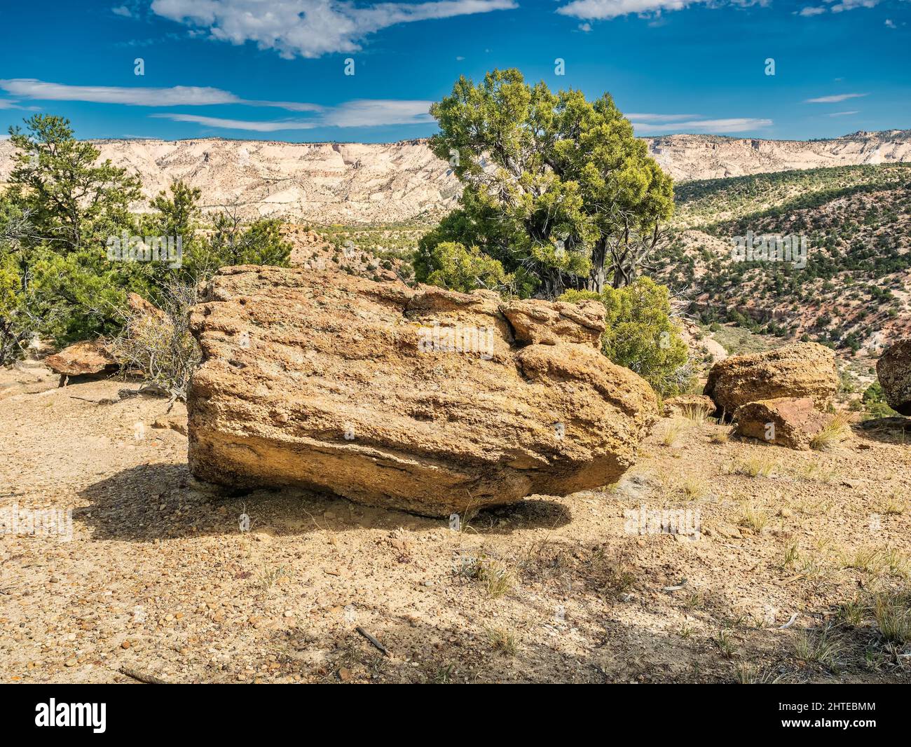 Versteinertes Holz in Escalante Petrified Forest State Park in Utah, USA Stockfoto