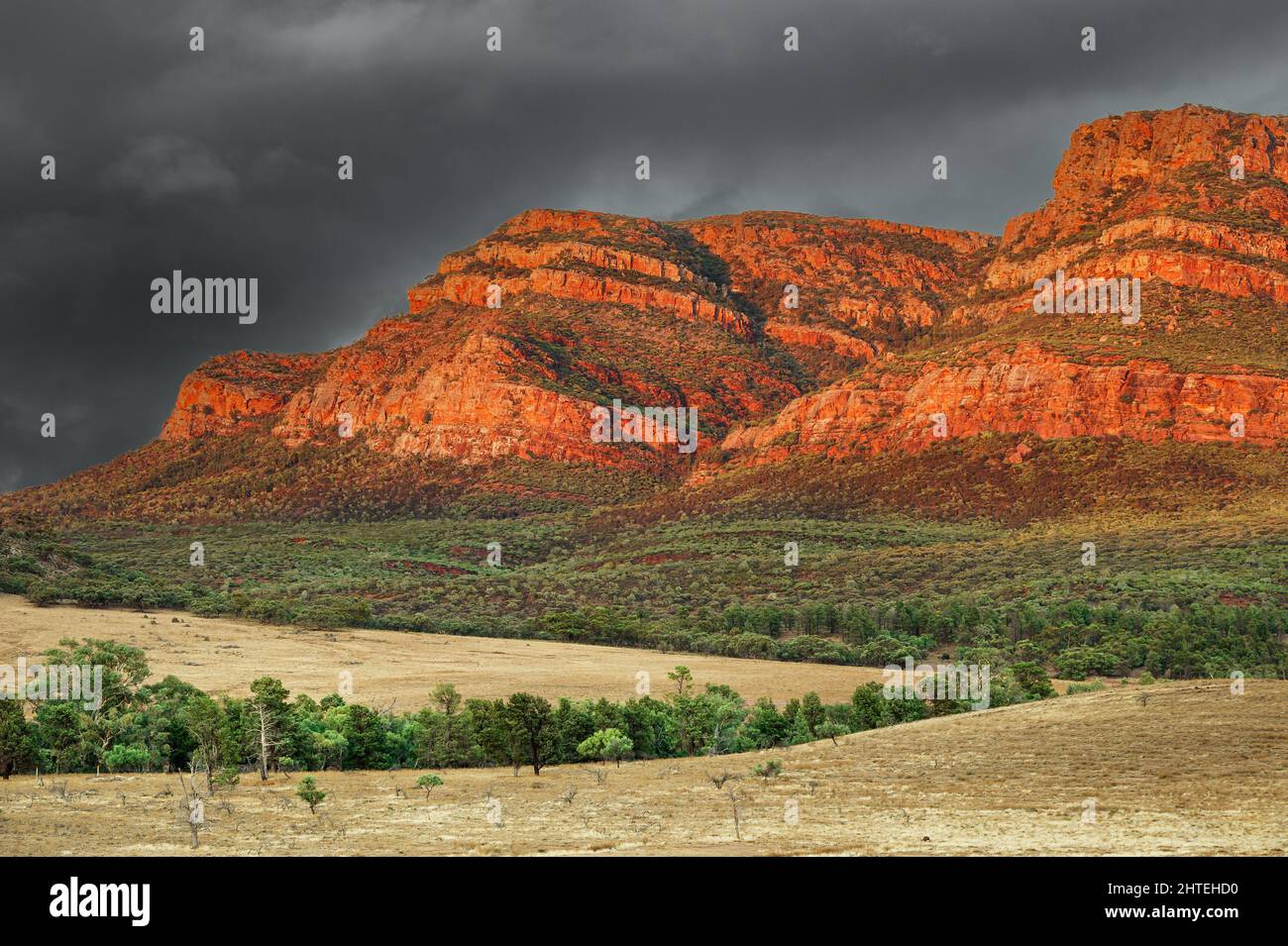 Erste Ampel auf Rawnsley Bluff, Teil des berühmten Wilpena Pound im Ikara-Flinders Ranges National Park. Stockfoto