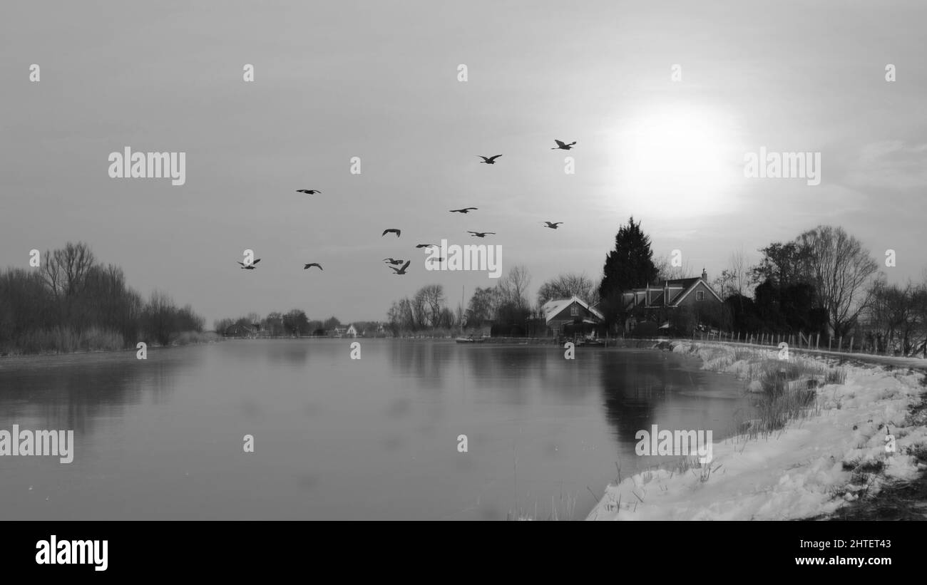 Schwarz-weiß Aufnahme von fliegenden Vögeln über dem See im Winter Stockfoto