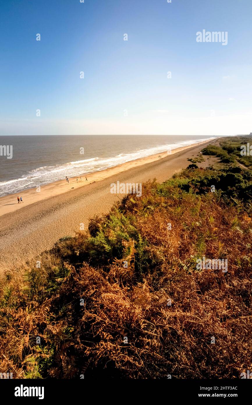 Blick südlich von Dunwich Heath in Richtung Strand bei Sizewell. Suffolk, England, Großbritannien Stockfoto