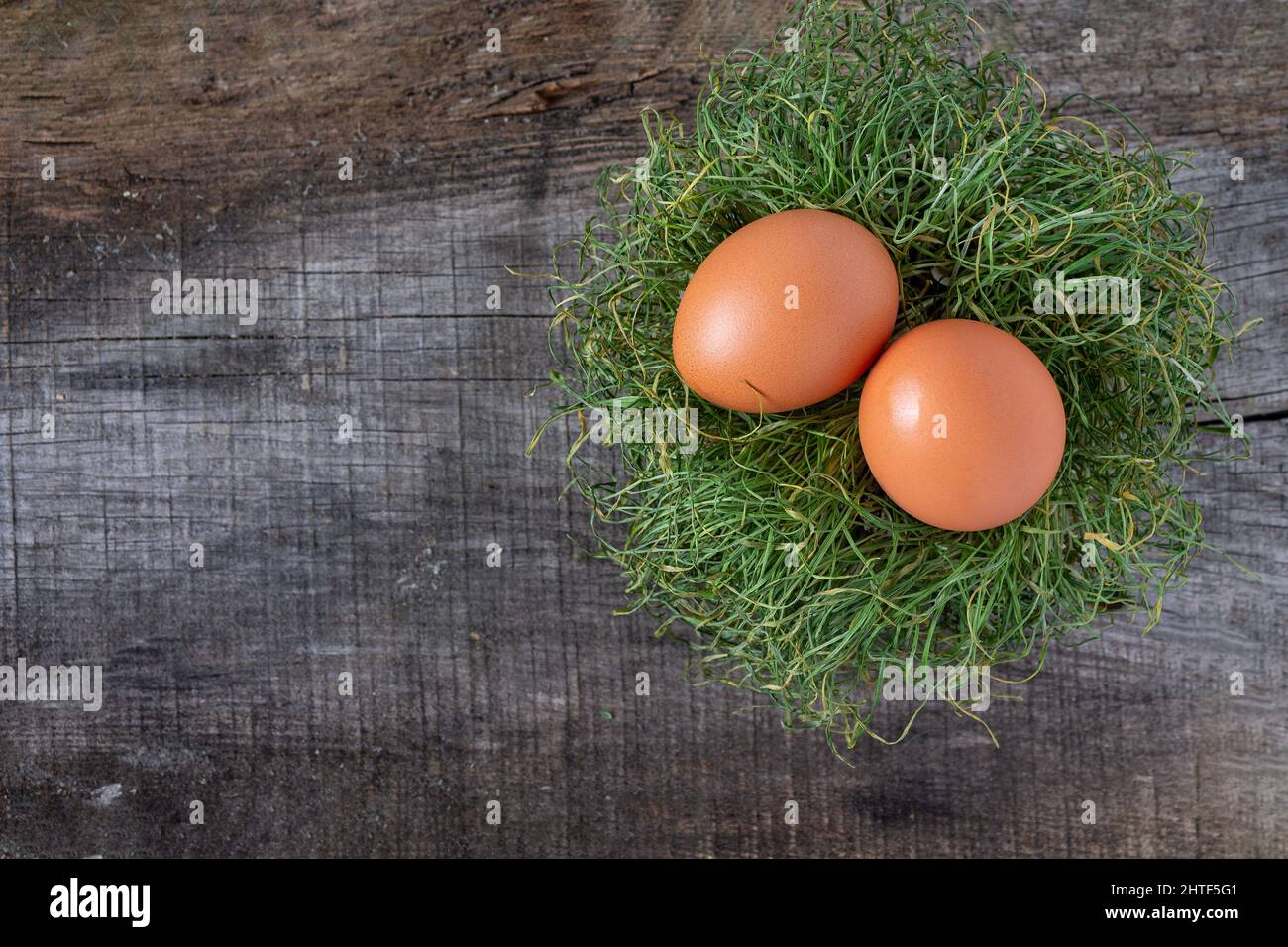 Zwei Hühnereier liegen in einem Nest aus trockenem Gras auf einem alten Holzflo Stockfoto