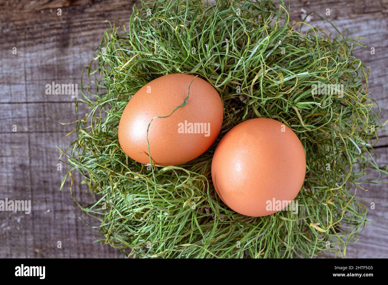 Zwei Hühnereier liegen in einem Nest aus trockenem Gras auf einem alten Holzflo Stockfoto