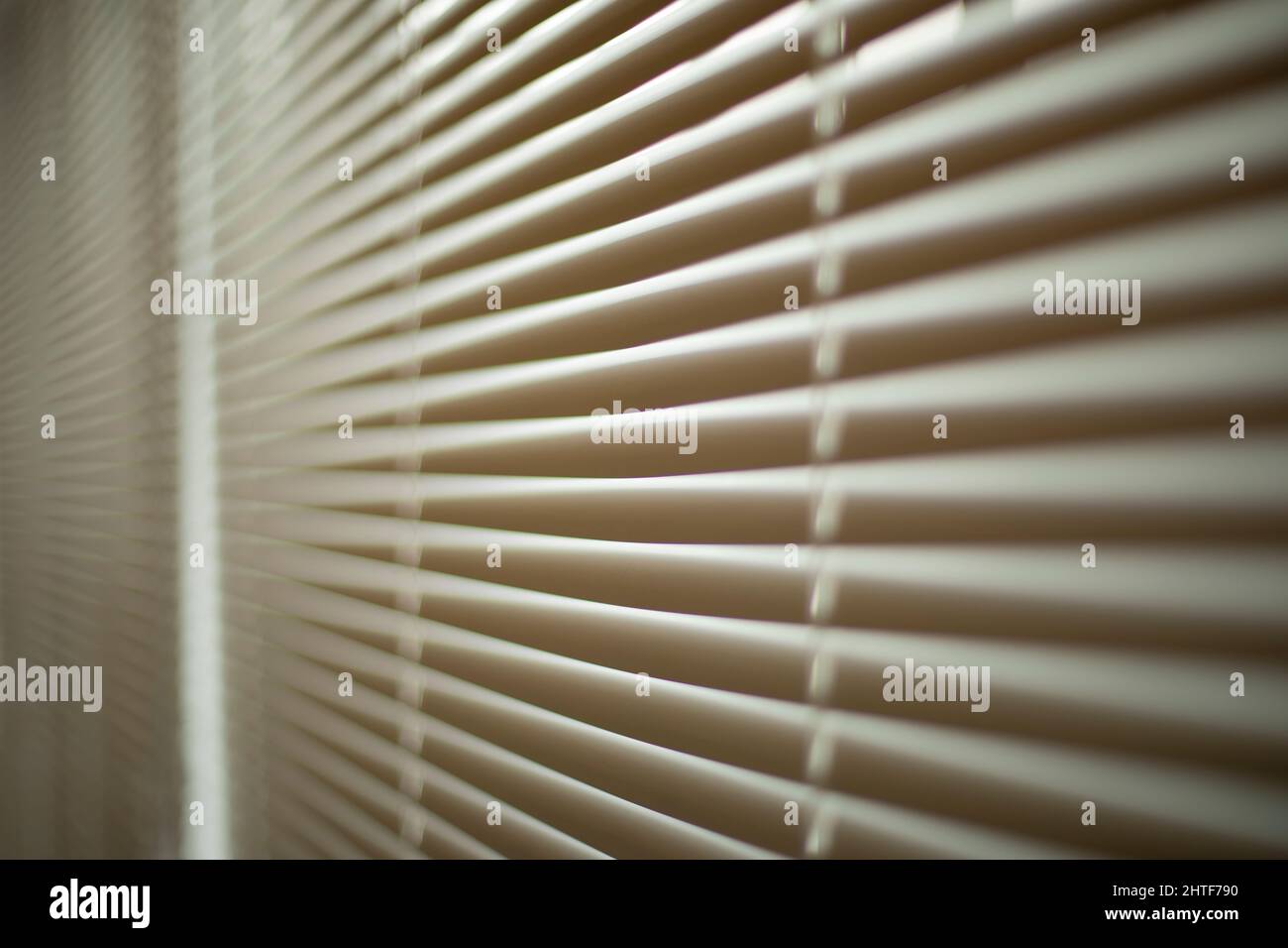 Jalousien im Büro. Details zur Innenausstattung. Das Fenster ist vor Licht geschlossen. Stockfoto