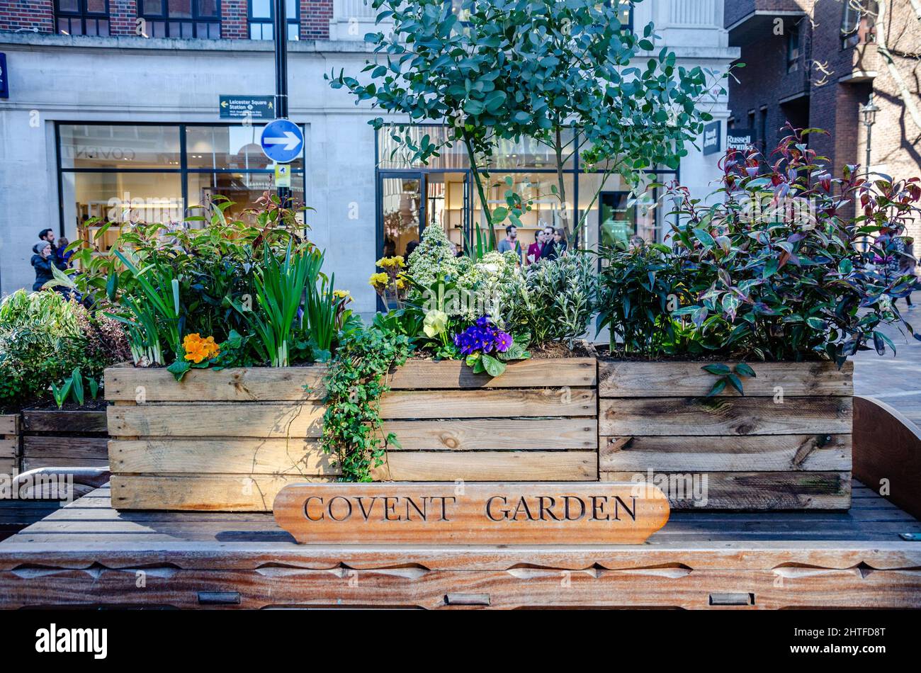 Pflanzgefäße, die mit verschiedenen Pflanzen bepflanzt sind, begrüßen Besucher, die die Covent Garden-Gegend von London, Großbritannien, betreten Stockfoto