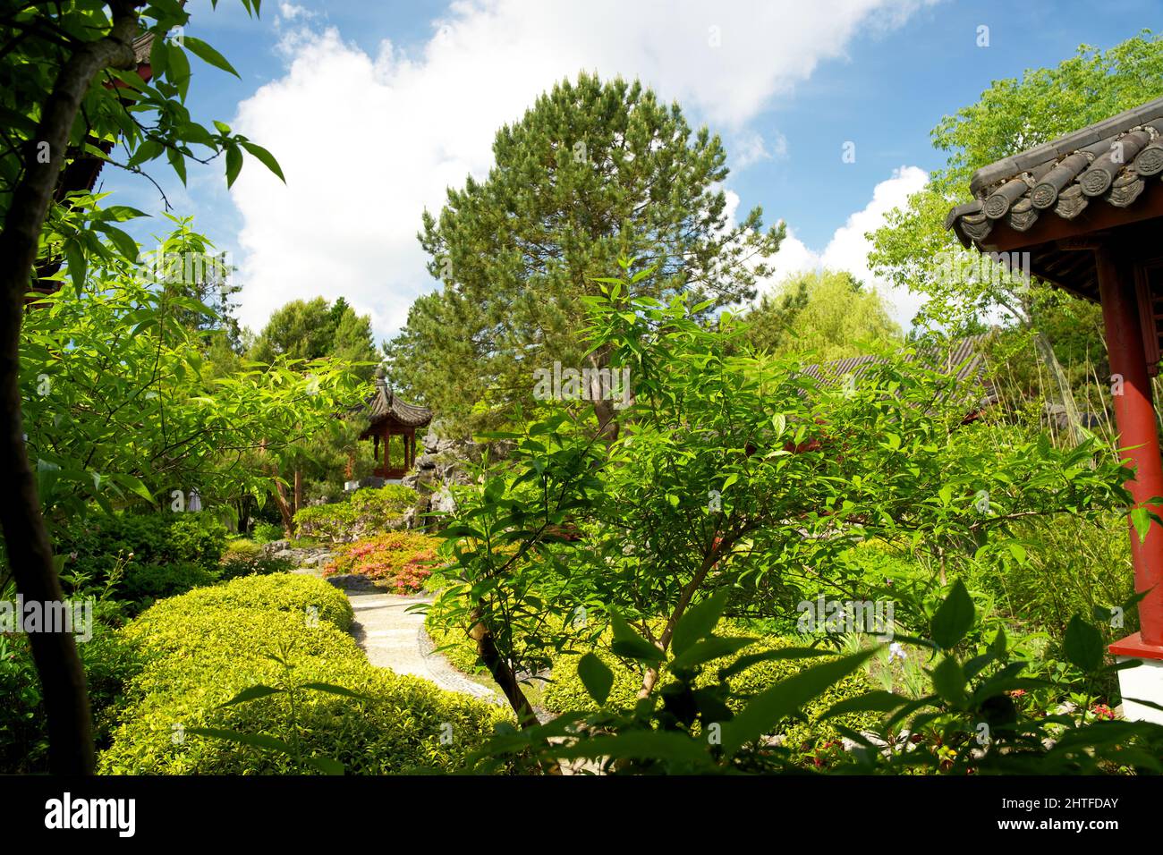 Chinesischer Garten im Hortus botanicus von Groningen im Frühsommer Stockfoto