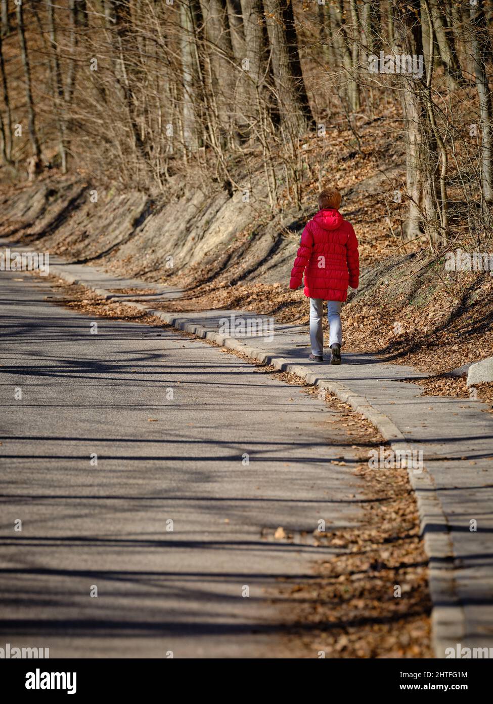 Dame in einer roten Jacke von hinten auf dem Bürgersteig zu Fuß im Wald Stockfoto