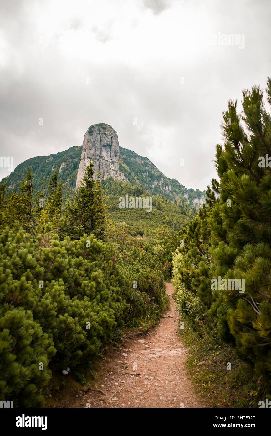 Vertikale Aufnahme des Ceahlau-Massivs in Rumänien Stockfoto