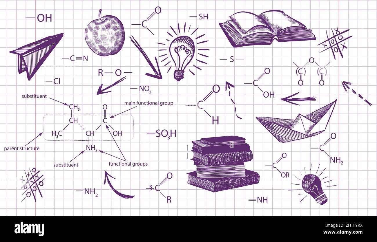 Freihändig Schulsachen auf ein Blatt Übungsbuch zeichnen. Zurück zur Schule. Vektorgrafik. Eingestellt Stock Vektor