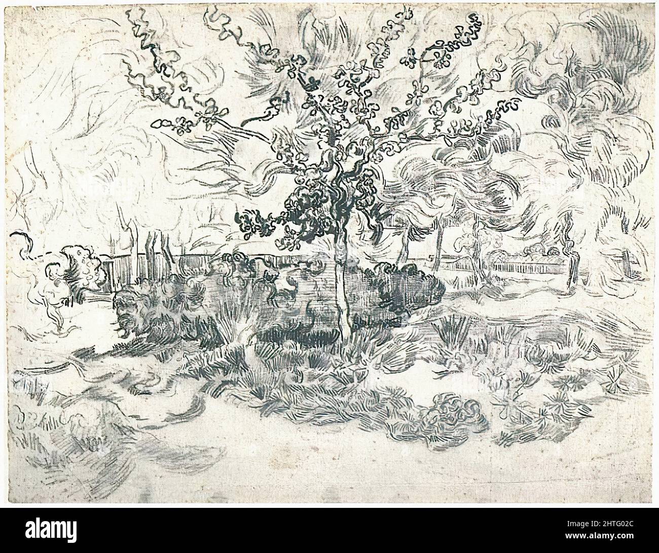 Vincent Van Gogh - Garten Asyl 1889 Stockfoto