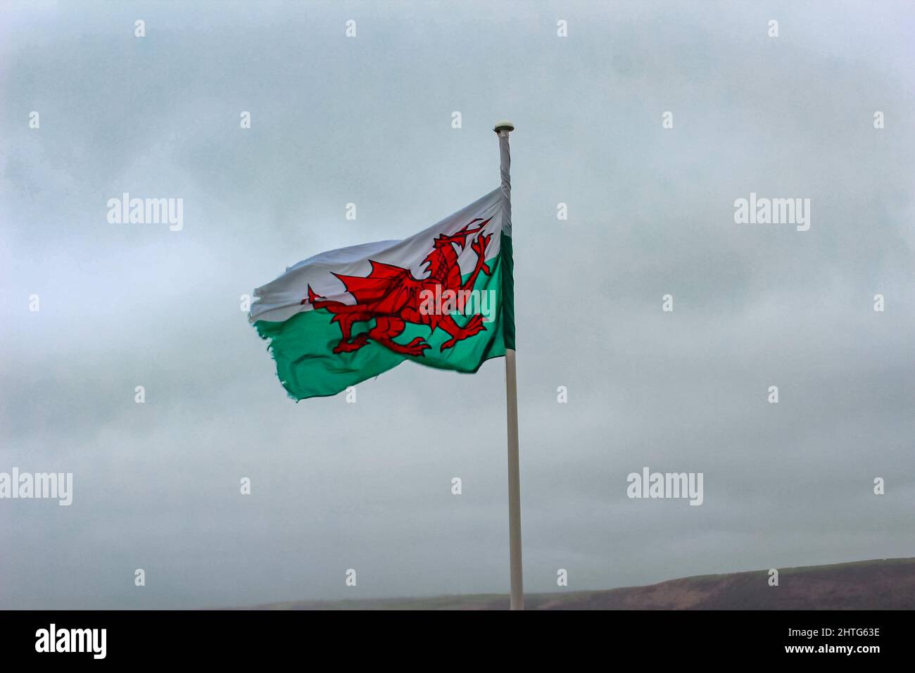 Dunkles Bild der walisischen Flagge auf einem Pol an einem bewölkten Tag in New Quay, Wales Stockfoto