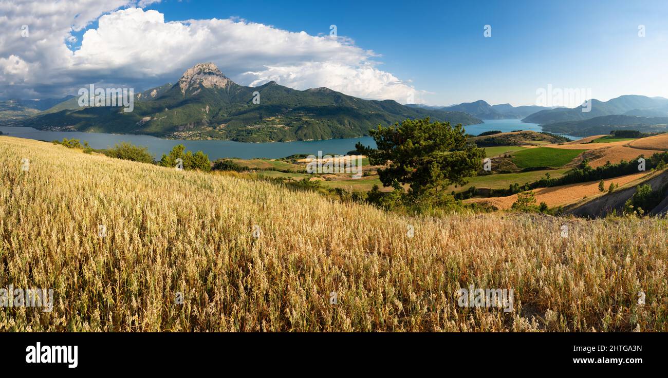 Serre-Poncon See im Sommer mit Haferfeld und Grand Morgon Gipfel. Durance Valley in den Hautes-Alpes (Alpen). Frankreich Stockfoto