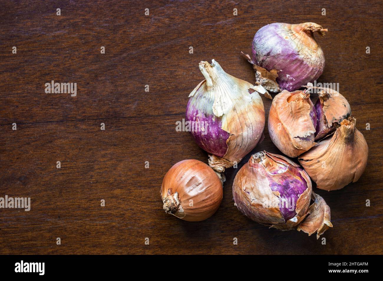 Braune und violette Schalotten, Allium Cepa Zwiebeln, auf rustikalem Tisch Stockfoto