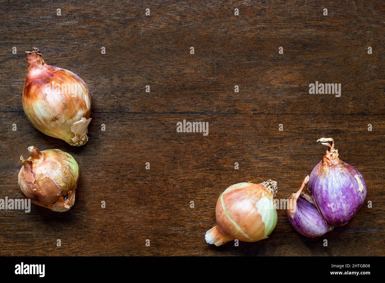 Braune und violette Schalotten, Allium Cepa Zwiebeln, auf rustikalem Tisch Stockfoto