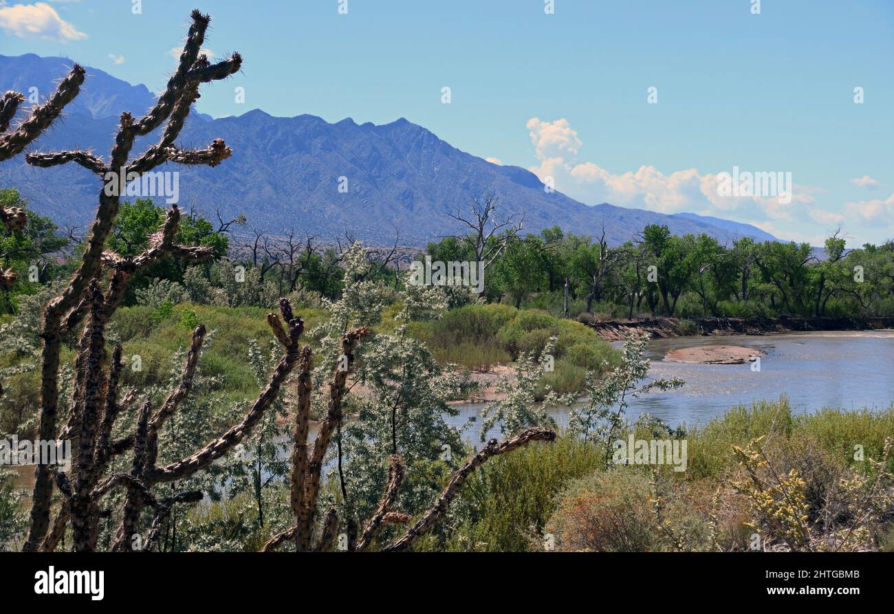 Der Rio Grande, was auf Spanisch Big River bedeutet. Auch bekannt als Rio Bravo südlich der Grenze in Mexiko und als wilder und malerischer Fluss bezeichnet. Stockfoto