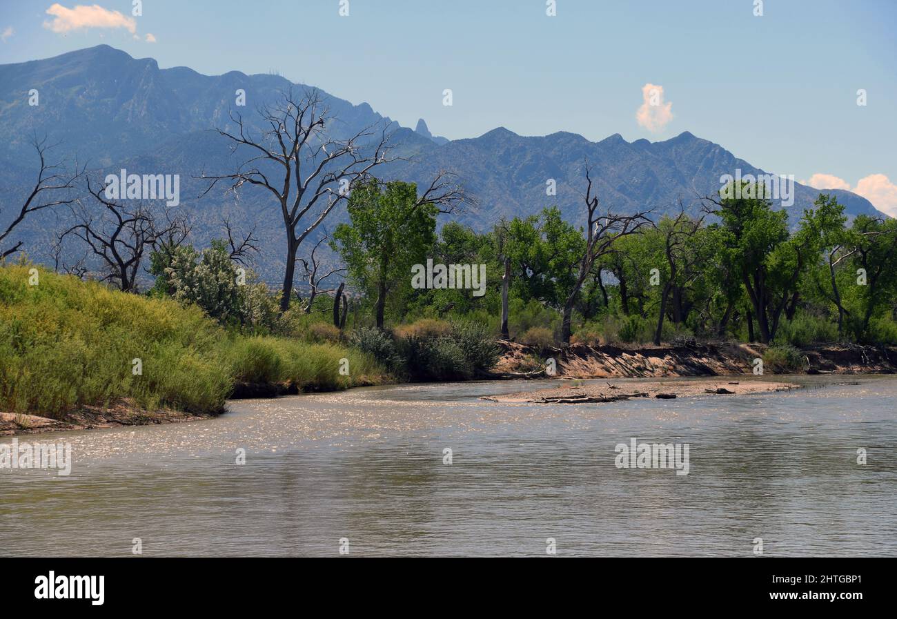 Der Rio Grande, was auf Spanisch Big River bedeutet. Auch bekannt als Rio Bravo südlich der Grenze in Mexiko und als wilder und malerischer Fluss bezeichnet. Stockfoto