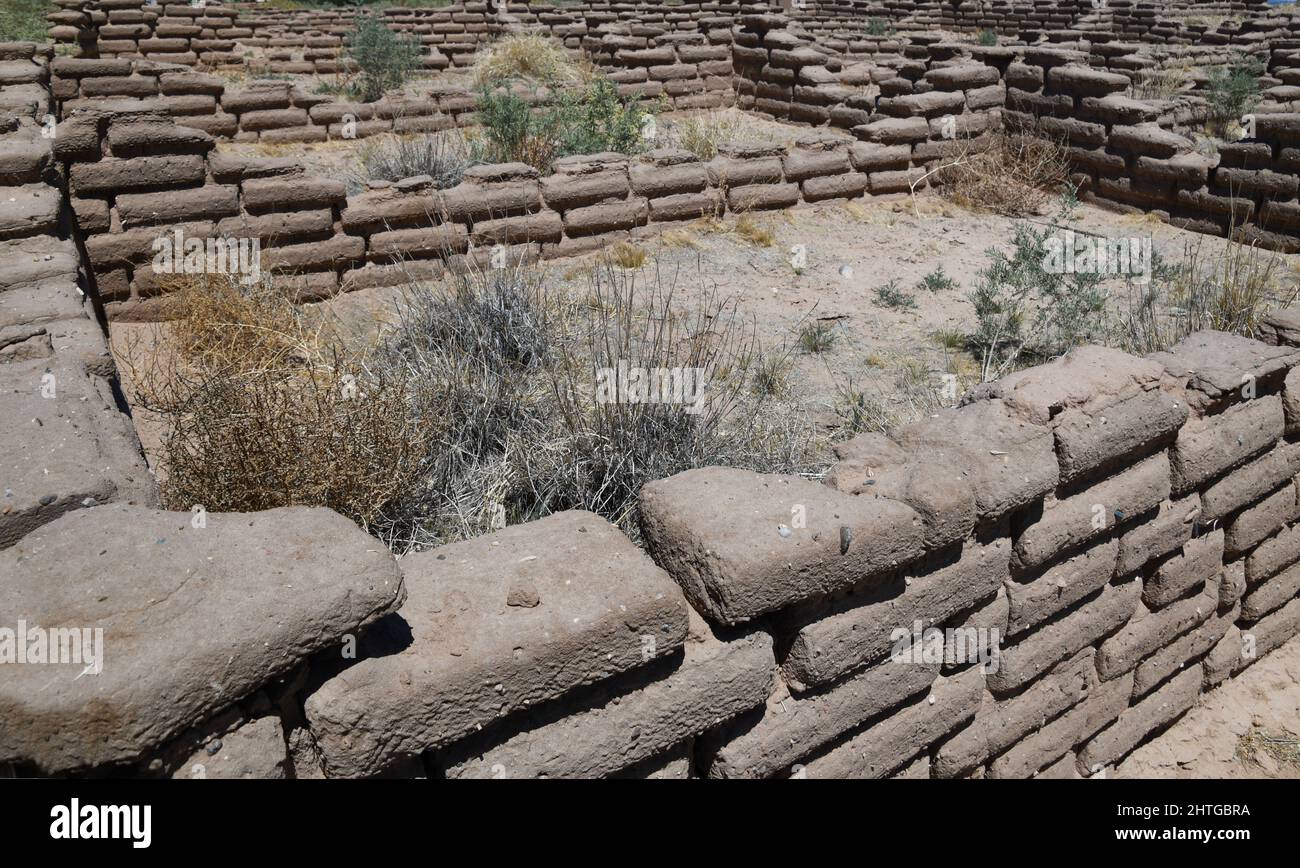 600 Jahre alter Lehmziegel aus den Ruinen von Kuaua Pueblo am Ufer des Rio Grande River in New Mexico. Stockfoto