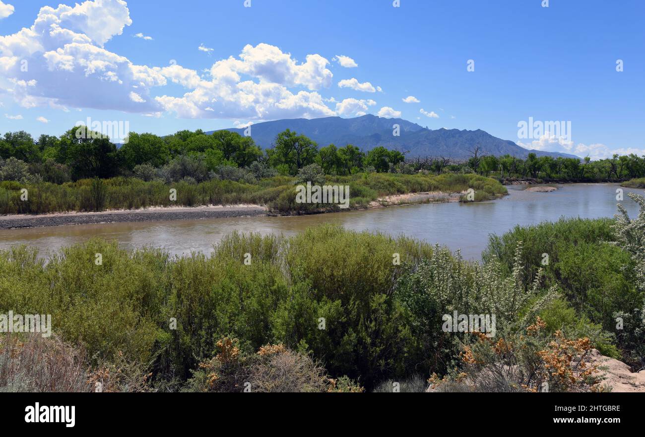 Der Rio Grande, was auf Spanisch Big River bedeutet. Auch bekannt als Rio Bravo südlich der Grenze in Mexiko und als wilder und malerischer Fluss bezeichnet. Stockfoto