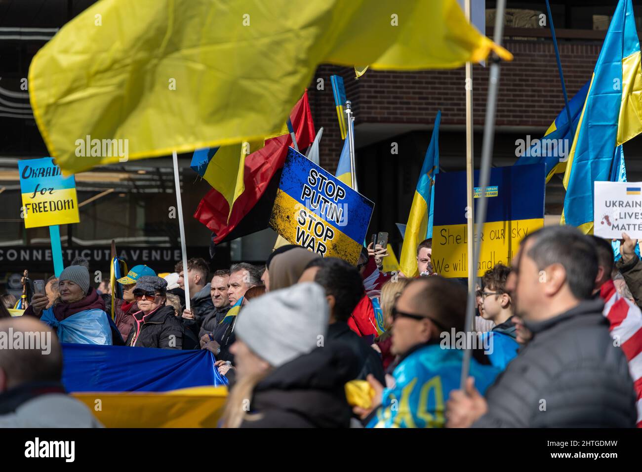 Die Ukraine unterstützt am 27. Februar 2022 eine Kundgebung vor dem Weißen Haus in Washington DC. Stockfoto