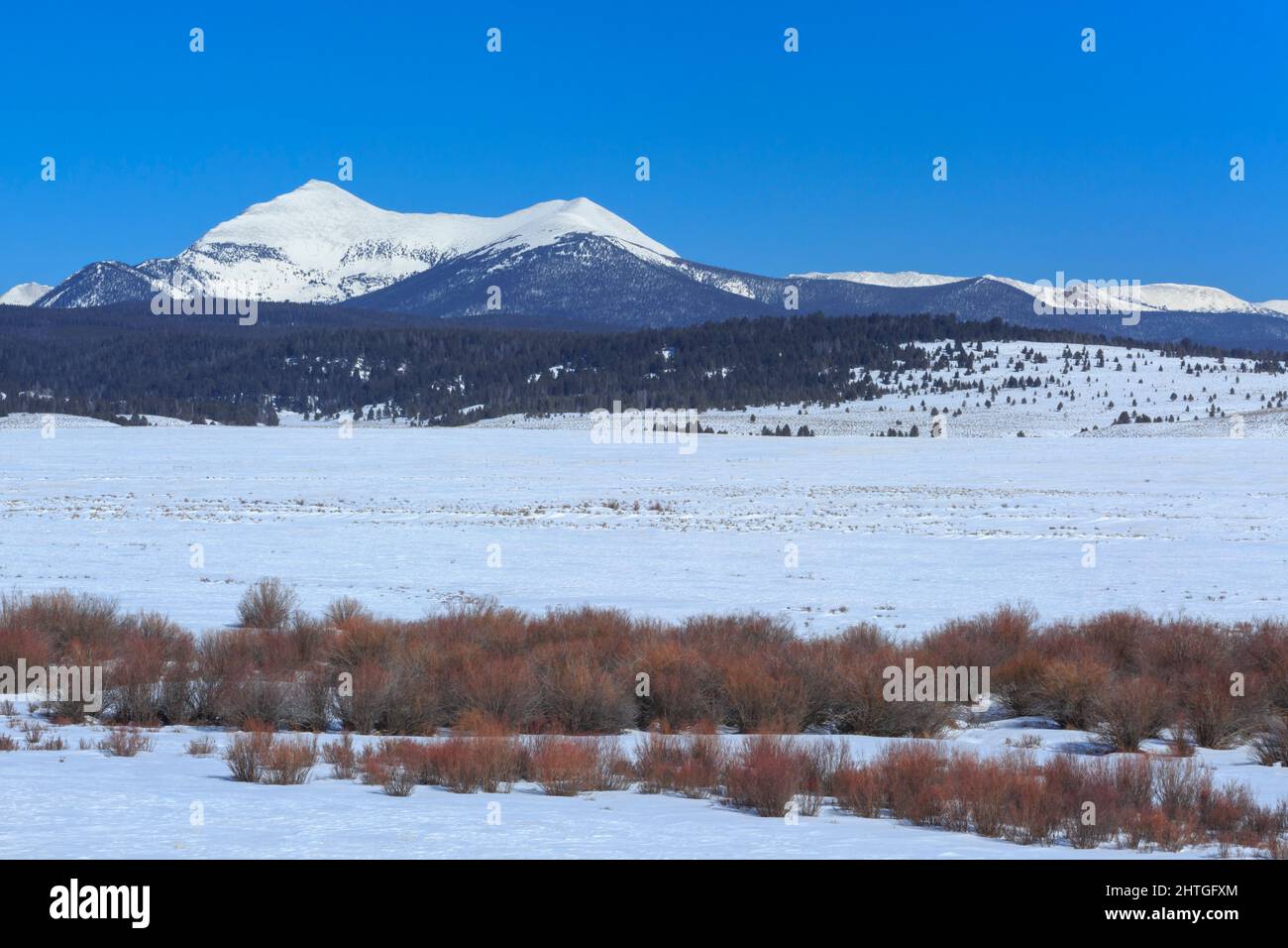 west Goat und East Goat Peaks in der Anaconda Range über dem Big Hole Valley im Winter in der Nähe von Wisdom, montana Stockfoto