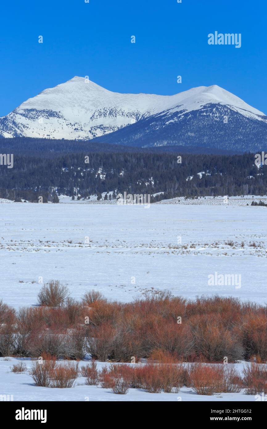 west Goat und East Goat Peaks in der Anaconda Range über dem Big Hole Valley im Winter in der Nähe von Wisdom, montana Stockfoto