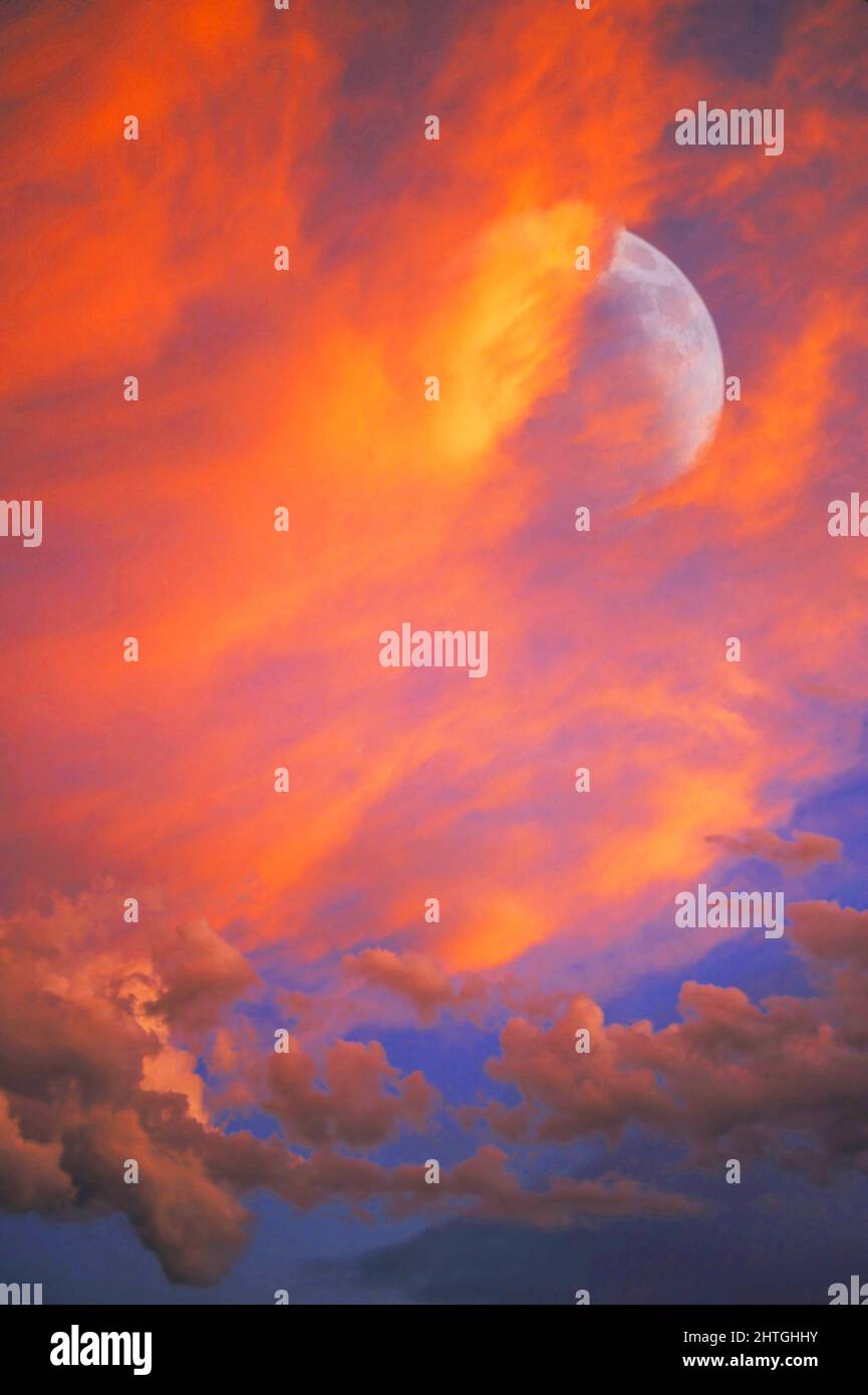 Monduntergang -- die untergehende Sonne hat der Wolkenformation eine vorübergehende und flüchtige leuchtend rote Färbung verliehen, während sie an einem Halbmond vorbeifließt Stockfoto