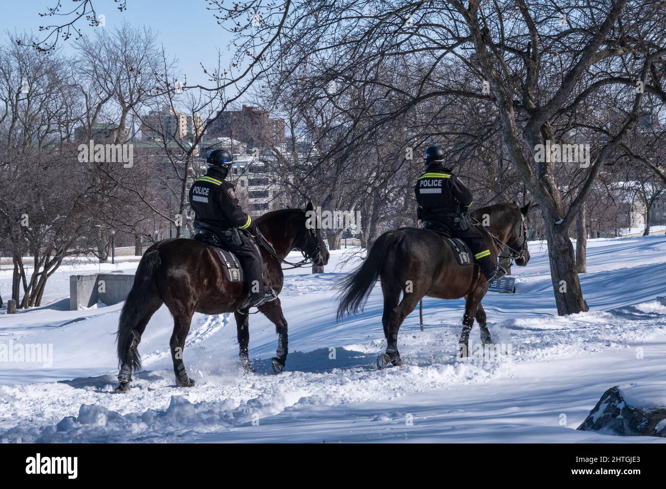 Montreal, CA - 26. Februar 2022: RCMP berittete Polizisten, die auf Mount-Royal patrouillierten Stockfoto