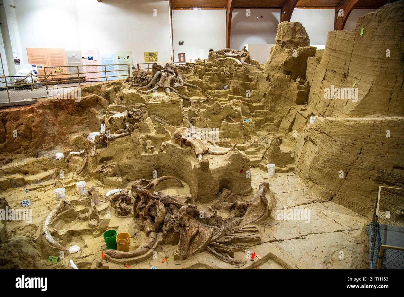 Aktive Ausgrabungsstätte und Museum mit einem Sinkloch aus der Pleistozän-Zeit, das fossile Mammutknochen in Hot Springs, South Dakota, enthält Stockfoto