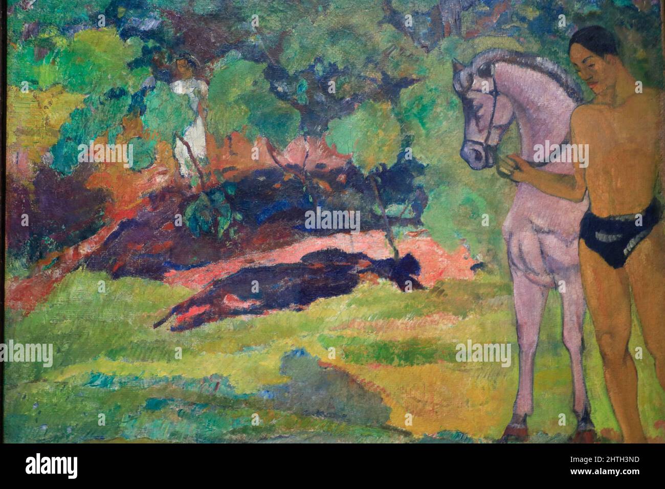 Homme et cheval Fotos und Bildmaterial in hoher Auflösung Alamy