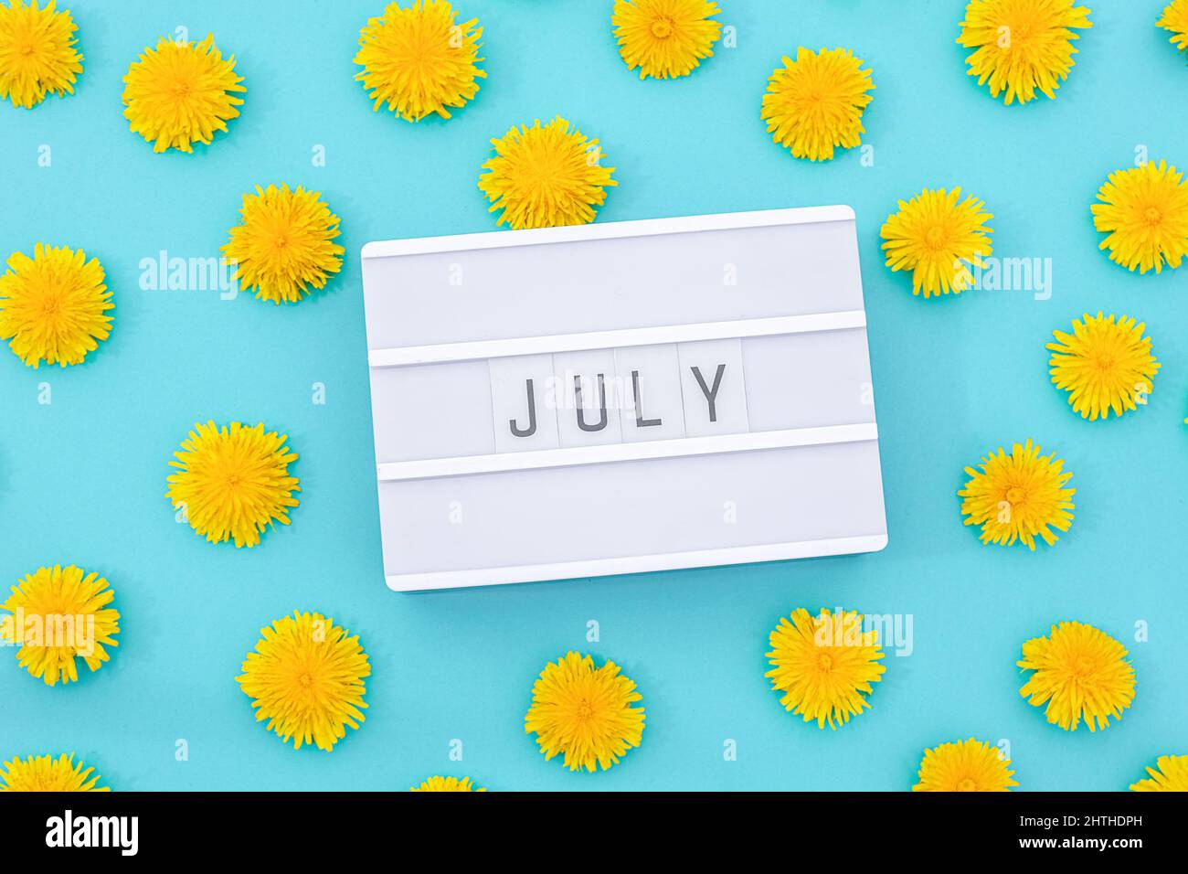 Text Juli auf Leuchtkasten und gelber Dandelion auf blauem Hintergrund. Konzept Hallo Sommer. Draufsicht Flat Lay. Stockfoto