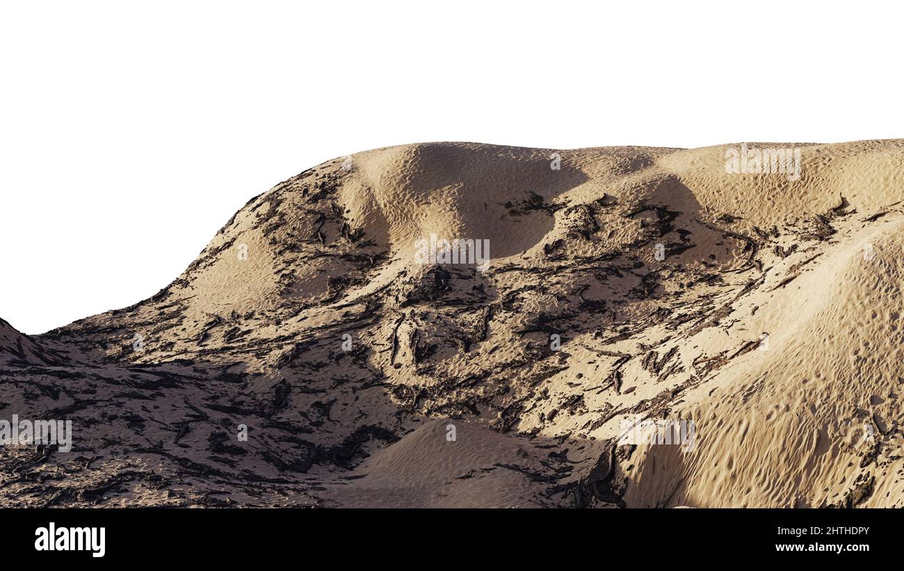 Sanddünen mit trockener Vegetation isoliert auf weißem Hintergrund Stockfoto