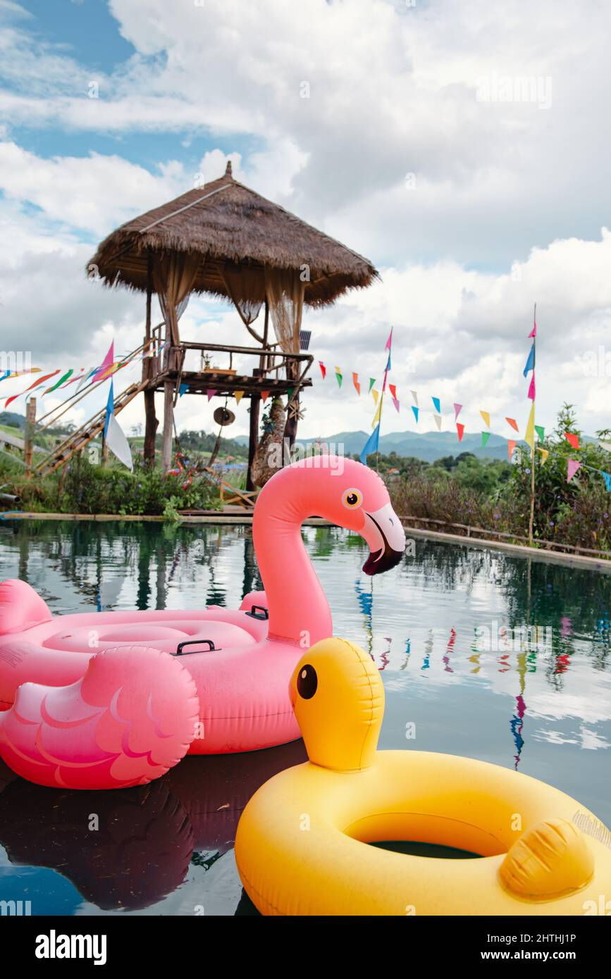 Flamingo und Ente schwimmen im Pool im Hotel Resort. Flamingo und Ente  schwimmende Gummispielzeug Wasserspielzeug Aufblasbar in den Schwimmbädern.  Summer Leisur Stockfotografie - Alamy