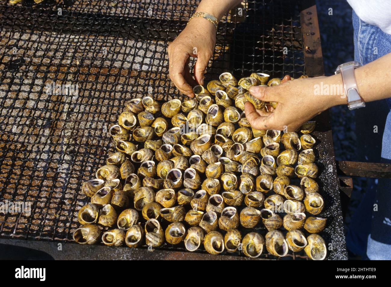 frankreich gegrillte Schnecke Tradition Stockfoto