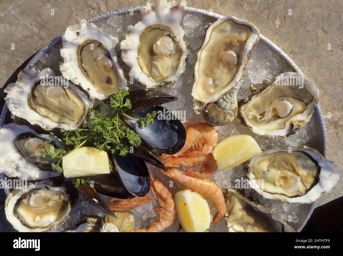 französische Austern mit Meeresfrüchten Stockfoto