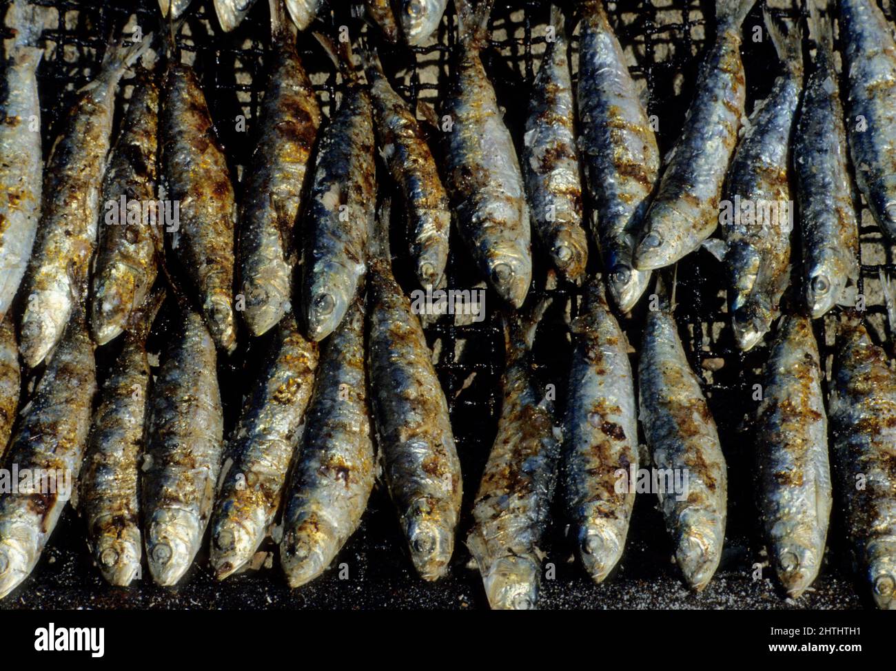 frankreich roussillon pyrenees orientales Sardinade gegrillte Sardinen Stockfoto