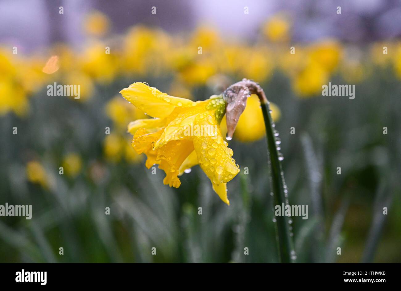Calendrier 2022 english Fotos und Bildmaterial in hoher Auflösung Alamy