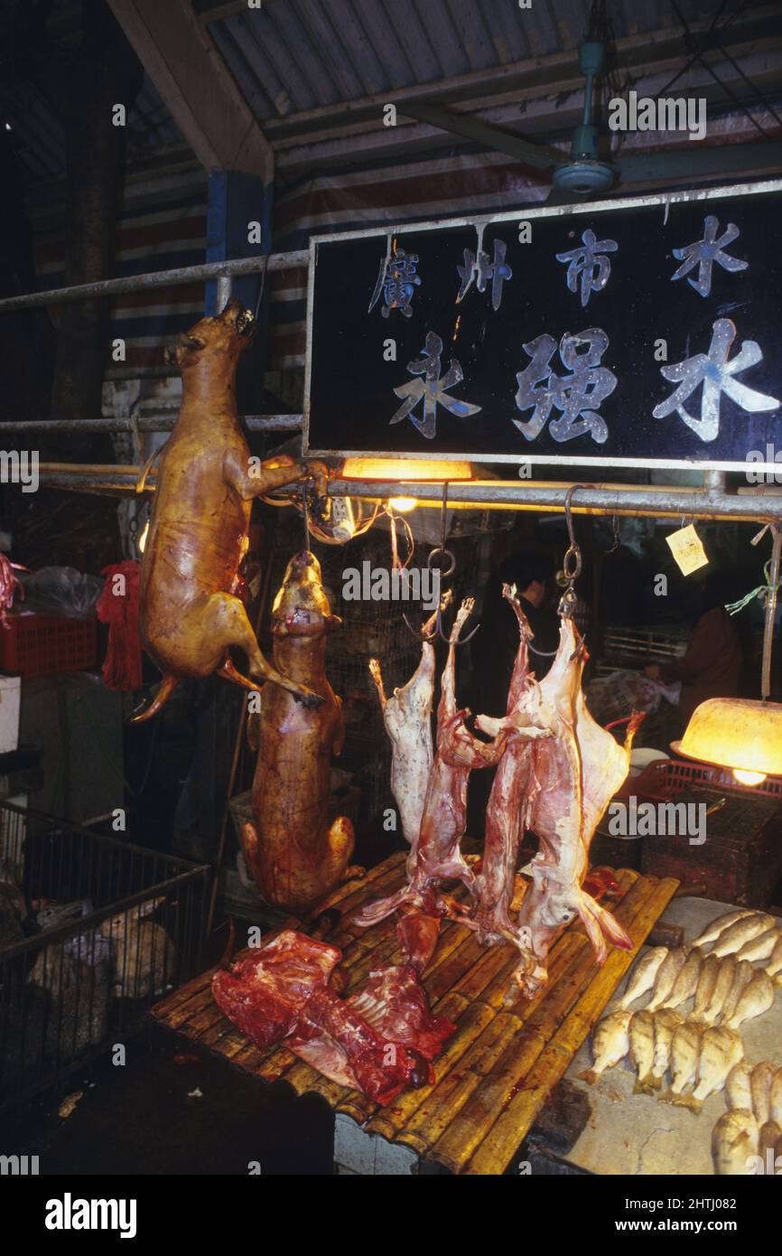 china guandxou Chinping Markt Hunde Shop Stockfoto