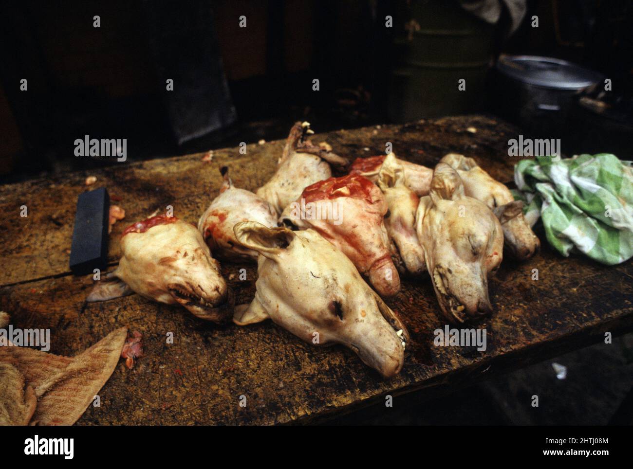 china guandxou quiping Markt Hunde Restaurant Stockfoto