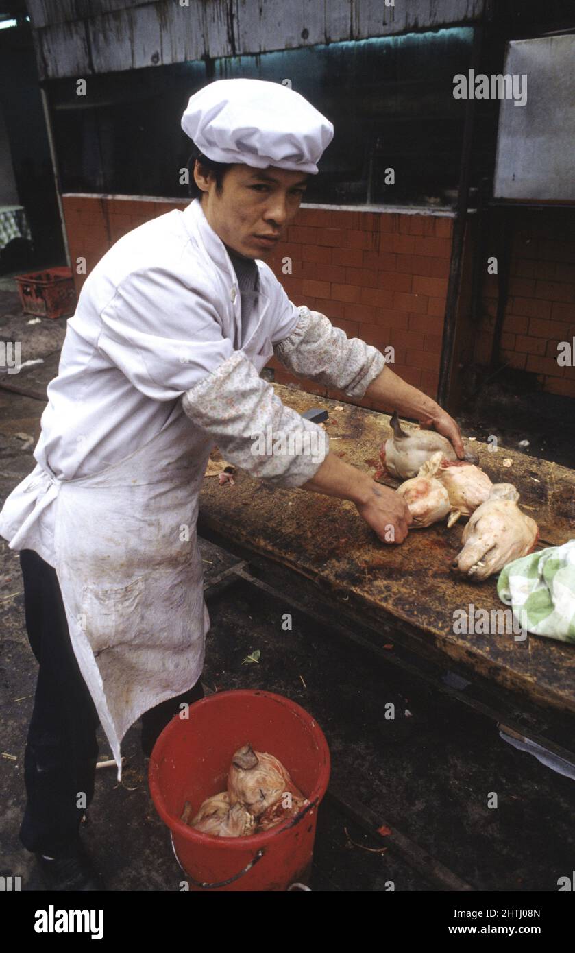 china guandxou quiping Markt Hunde Restaurant Stockfoto
